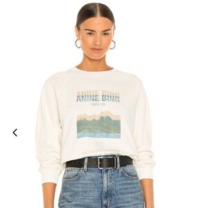Anine Bing Arlo Desert Road Sweatshirt size XS